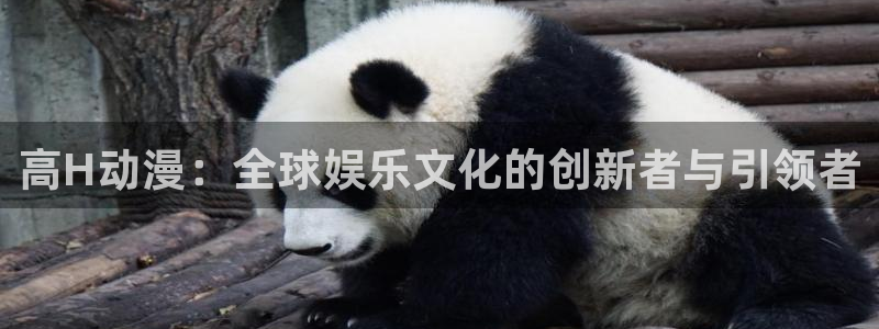 汗汗漫画网站：高H动漫：全球娱乐文化的创新者与引领者配图