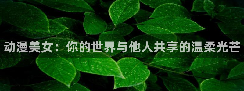 汗汗漫画大全高分推荐：动漫美女：你的世界与他人共享的温柔光芒配图