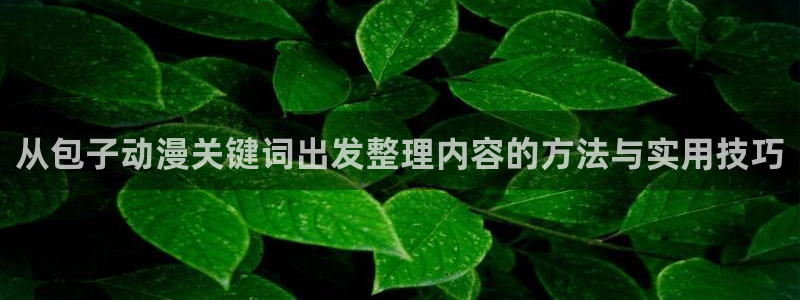 汗汗漫画人气排行榜:从包子动漫关键词出发整理内容的方法与实用技巧配图