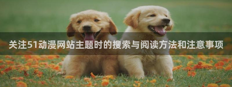 汗汗漫画分类推荐:关注51动漫网站主题时的搜索与阅读方法和注意事项配图