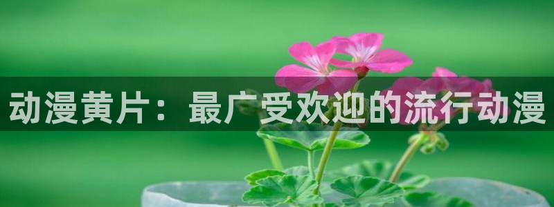 汗汗漫画大全最新：动漫黄片：最广受欢迎的流行动漫配图
