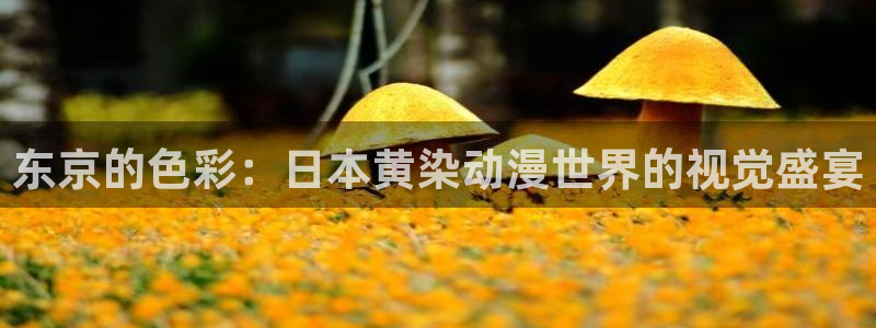 汗汗漫画新作大全:东京的色彩:日本黄染动漫世界的视觉盛宴配图